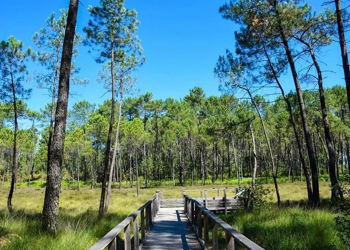 Nyaraló Montanet Mées